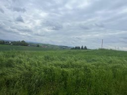 Rok szkolny 2024-2025 - 109 - Pogórze Ciężkowickie